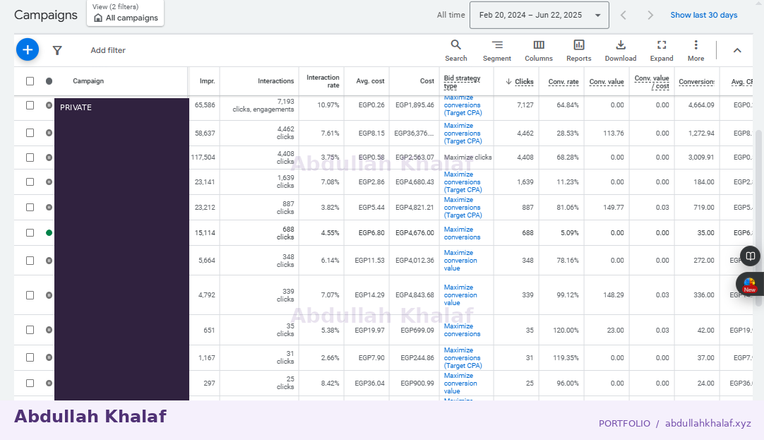 Google Ads · historical report — private details removed