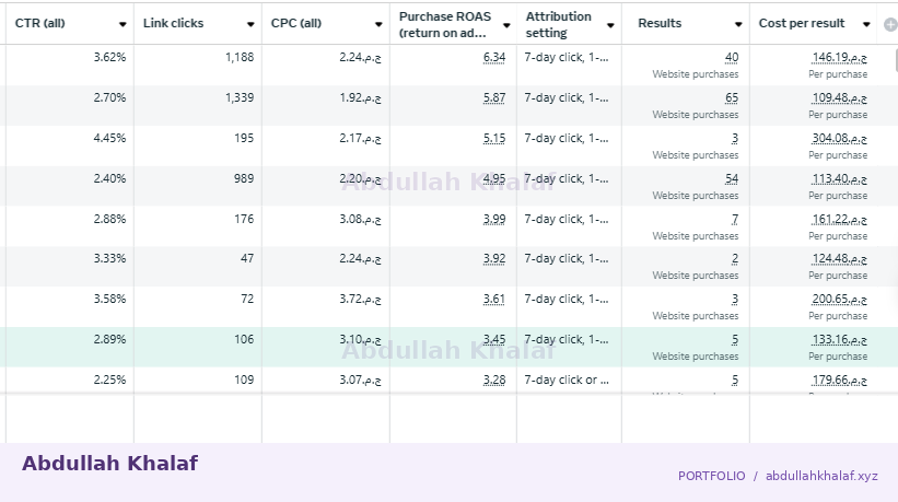 Meta Ads · historical report — private details removed