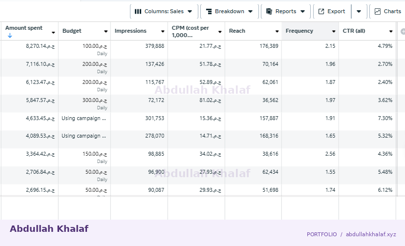 Meta Ads · historical report — private details removed