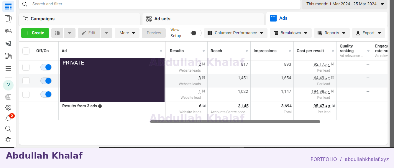 Meta Ads · historical report — private details removed