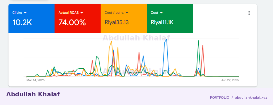 Google Ads · historical report — private details removed
