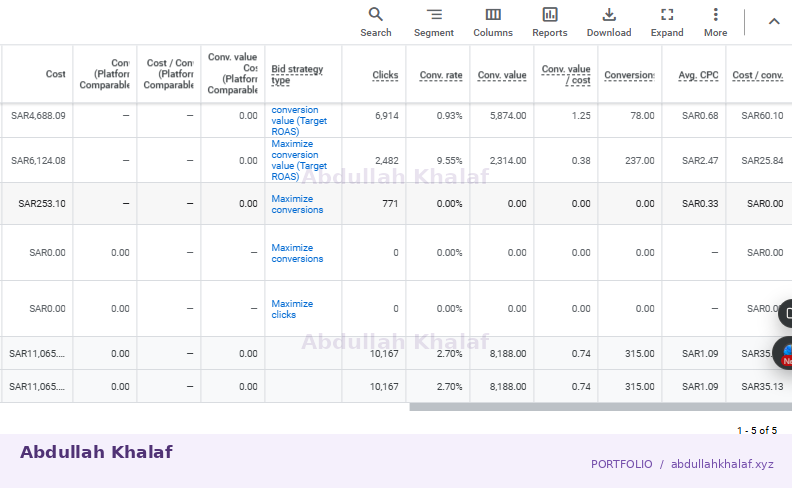 Google Ads · historical report — private details removed